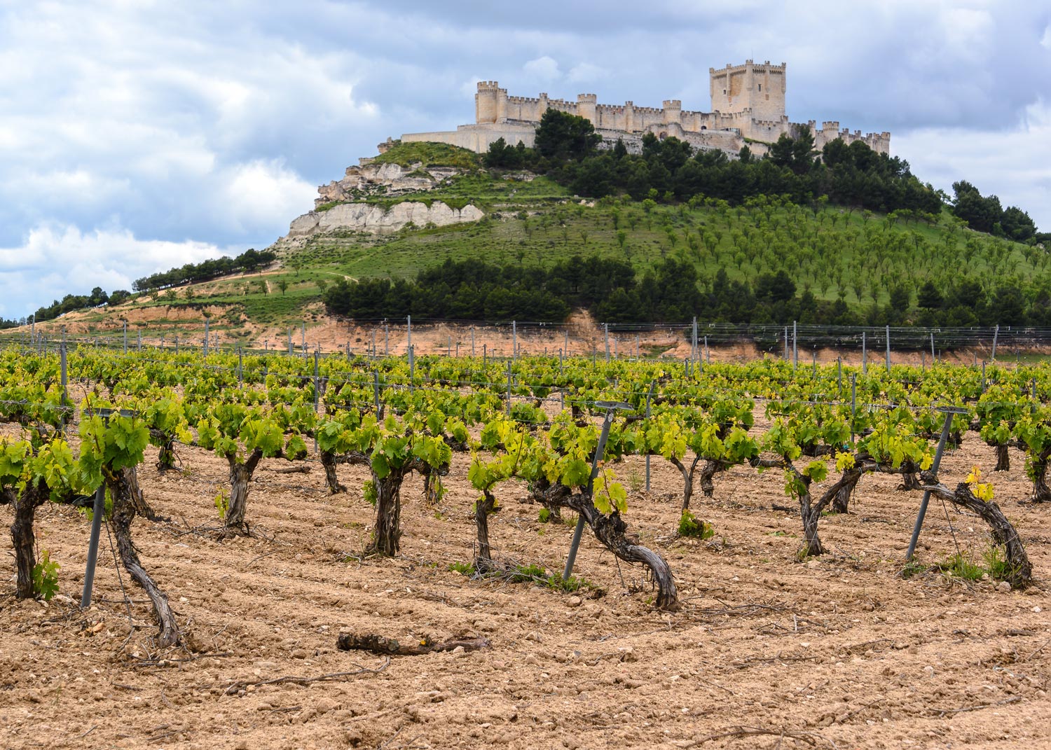 Enoturismo-en-Valladolid