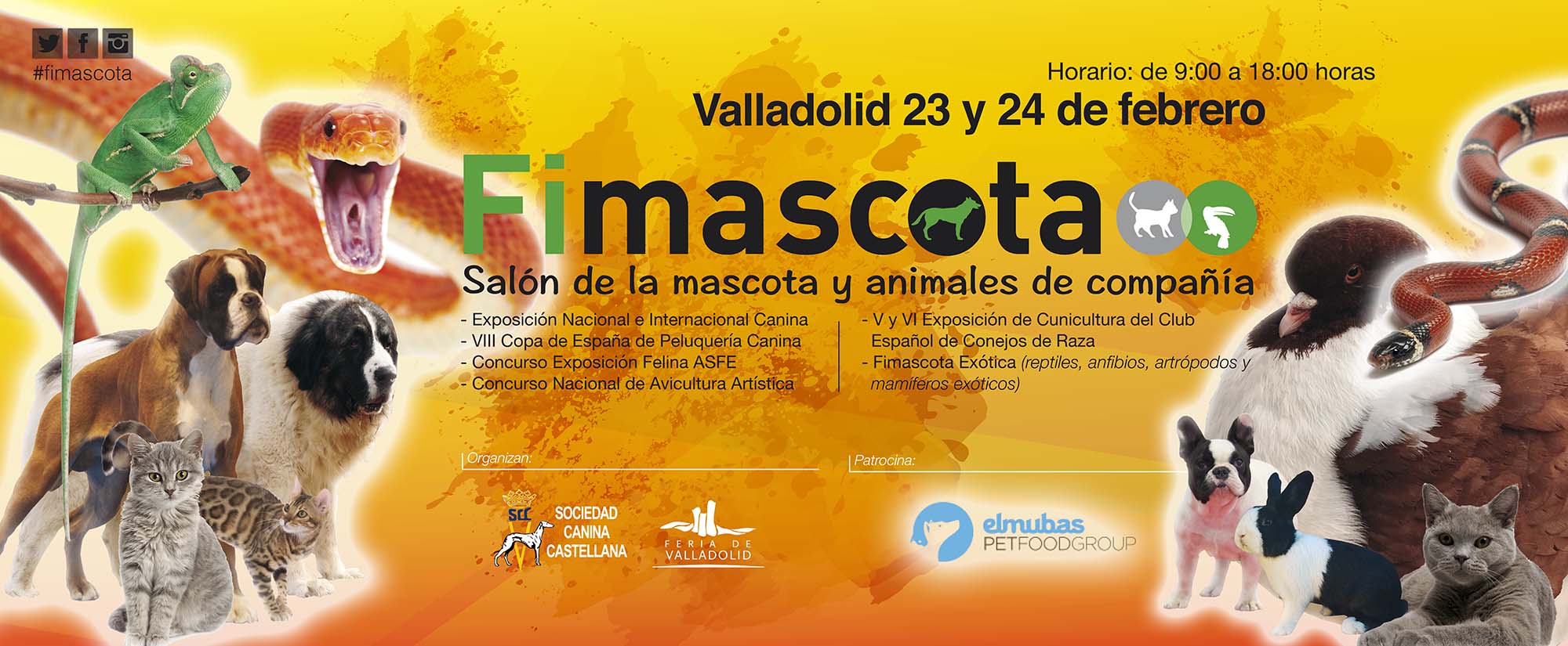 FIMASCOTA WEB 970×400