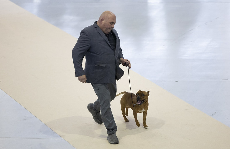 54347649863_008645e6af_c