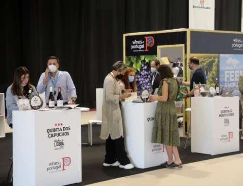 A hundred exhibitors will gather at FINE, the International Wine Tourism Trade exhibition, starting on Wednesday