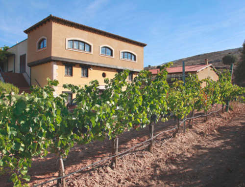El grupo Ferrer Miranda presentará en FINE #Winetourismexpo la oferta enoturística de sus bodegas
