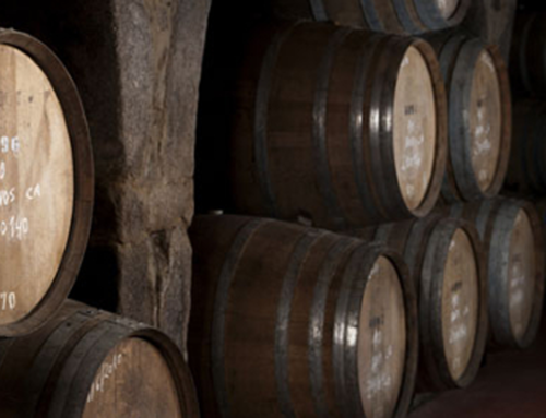 Turismo Do Porto e Norte de Portugal participará este año en FINE #Winetourismexpo