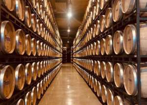 Bodegas Protos Protos