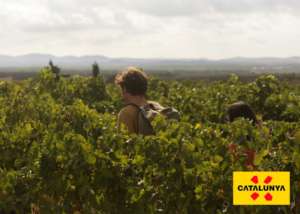 Cataluña Enoturismo (3)
