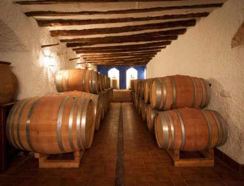 From Almansa to the world: the wine tourism proposal of a region in the heart of La Mancha