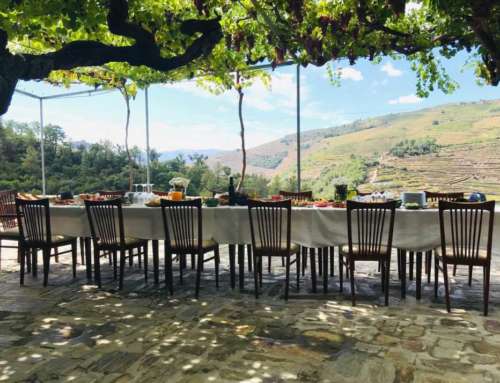 Wine & Soul: discover the Portuguese Douro with a glass of wine in your hand