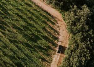 Bodegas Arinzano