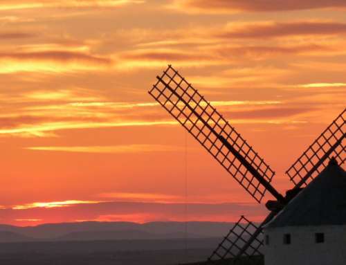 The La Mancha Wine Route: tradition and culture in a single journey