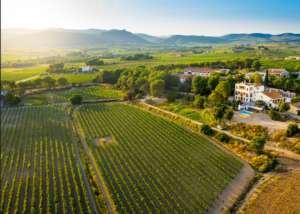 Ruta del Vino de Penedés