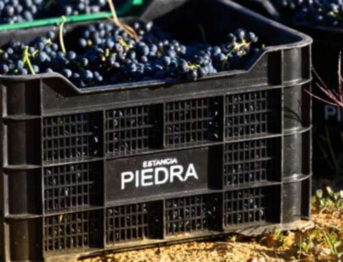 Bodegas Piedra: a unique wine tourism experience at FINE #WineTourism Marketplace