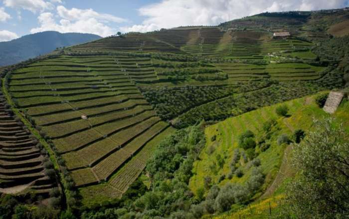 Quinta da corte