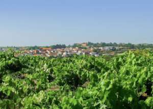 Ruta vino arribes