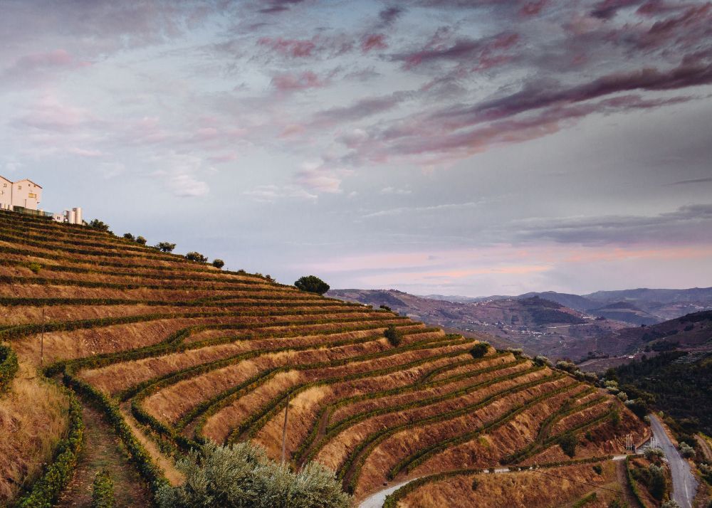 Quinta da Pedra Alta