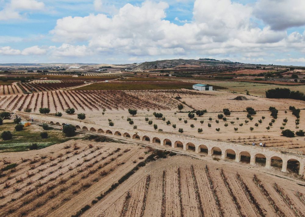 Ruta del vino de Jumilla