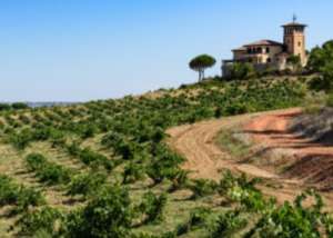 Bodega Estancia Piedra