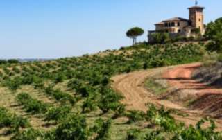 Bodega Estancia Piedra