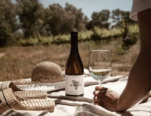 Mainova: vino, aceite y olivares milenarios en el Alto Alentejo