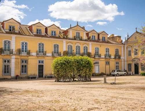 Tradición, sabor y esencia: los tres conceptos de la Rota dos vinhos do Tejo