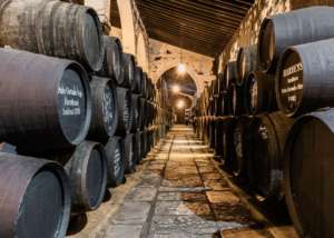 Ruta del vino y el brandy del marco Jerez