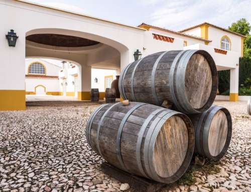 The world of oil meets wine: this is Santa Vitória