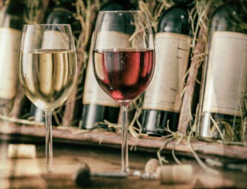 Santa Vitória: vino, aceite y más de un millón de botellas al año en el corazón del Alentejo