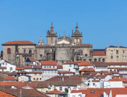 The history of wine in Portugal resides in the Sociedade Agrícola do Castro de Pena Alba