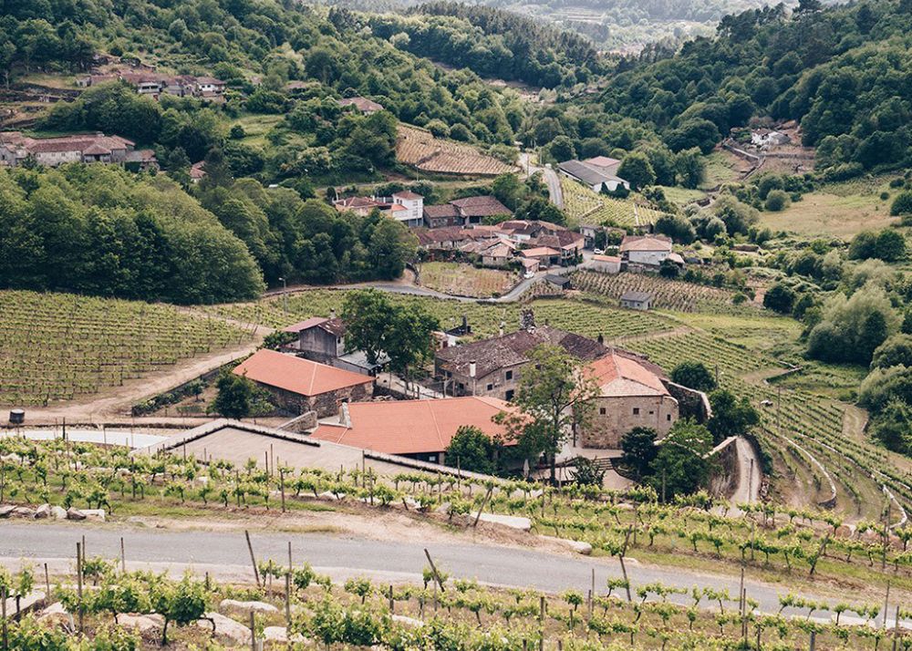 Viña Costeira