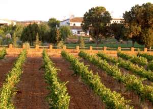 Turismo Castilla-La Mancha