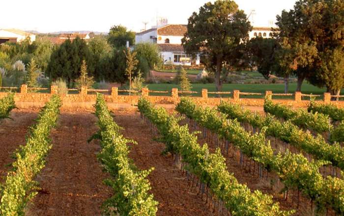 Turismo Castilla-La Mancha