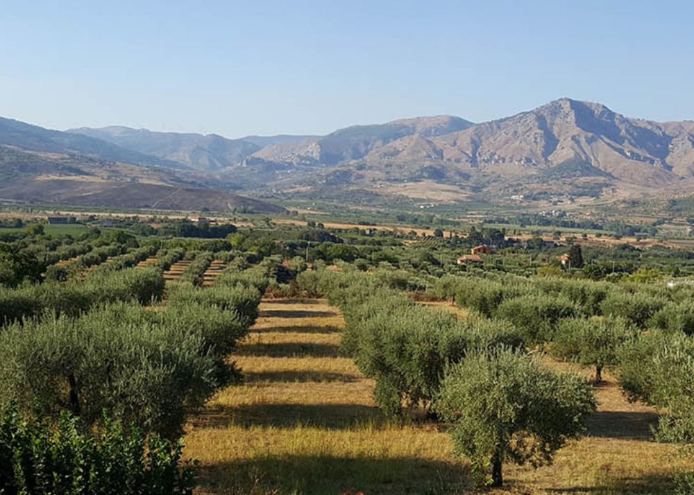 La strada del vino dell'Etna