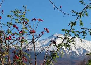 La strada del vino dell'Etna