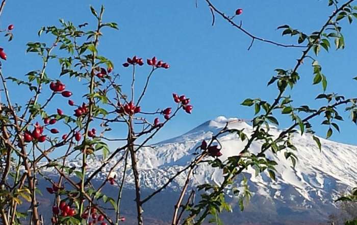 La strada del vino dell'Etna