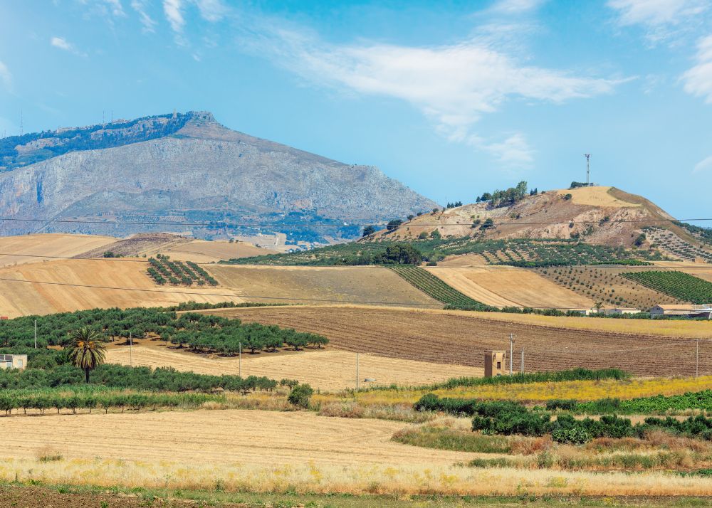 Strada del Vino Terre Sicane