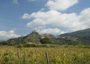 Strada del Vino Terre Sicane