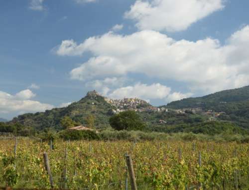 The Strada del Vino Terre Sicane: Sicily in a glass of wine