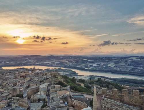 Descubre el alma del vino siciliano en Valle dei Templi