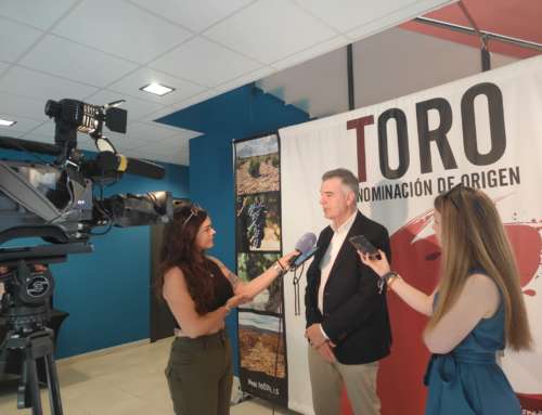 Feria de Valladolid y la DO Toro celebran una jornada sobre vitivinicultura y enoturismo