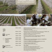 Feria de Valladolid acogerá el próximo miércoles 27 de marzo la jornada “El cultivo de frutos secos en Castilla y León: una alternativa real”
