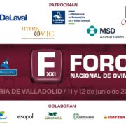 Feria de Valladolid acoge el XXI Foro Nacional de Ovino organizado por Oviespaña