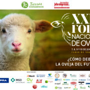 Feria de Valladolid acoge del 7 al 10 de junio el XXIV Foro Nacional de Ovino