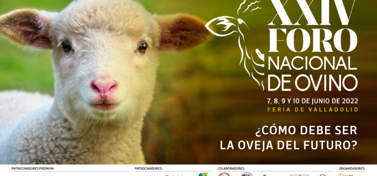 Feria de Valladolid acoge del 7 al 10 de junio el XXIV Foro Nacional de Ovino