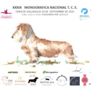 Feria de Valladolid acoge la XXXIX edición de Monográfica Nacional T.C.E